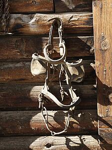 Hanging Bridle with Blinders