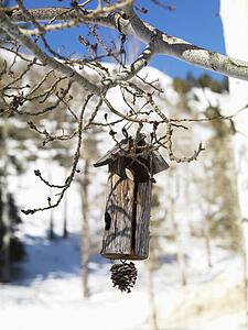 Hanging Wooden Birdhouse