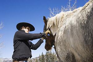 Attractive Young Man Grooming Horse