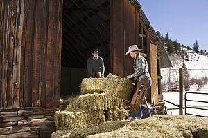 Attractive Couple Moving Hay Bales