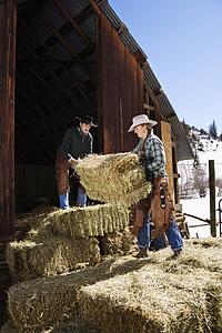 Couple Moving Hay Bales