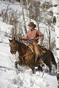 Man Riding a Horse the Snow