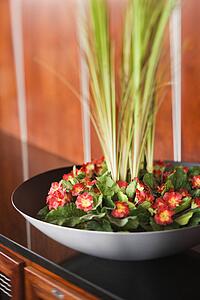 Flowers and Plants in Black Bowl