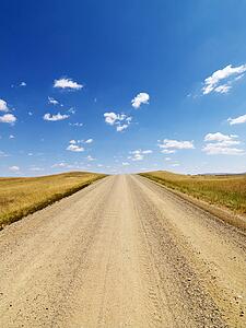 Rural Dirt Road Through Grassland