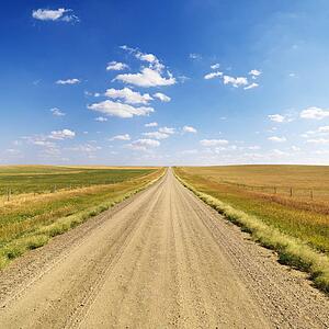 Country Dirt Road Between Fields