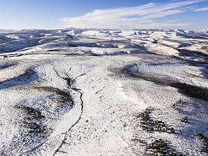 Snowy Landscape