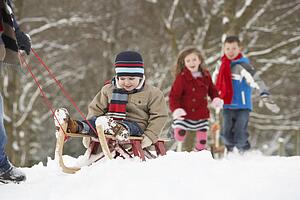 Father Pulling Children On Sledge Through Winter Landscape