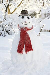 Snowman In Garden