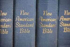 copies of the new american standard bible in a row