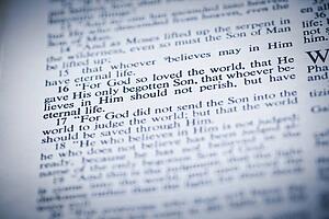 the new american standard bible open to john 3: 16