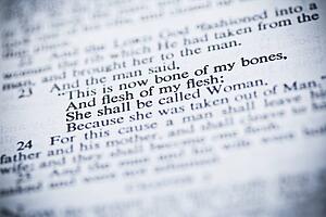 genesis 2: 23 from the new american standard bible about adam and eve and creation
