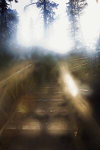 banff, alberta, canada; sunlight on wooden steps in the mountains