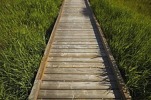 alberta, canada; a wooden sidewalk