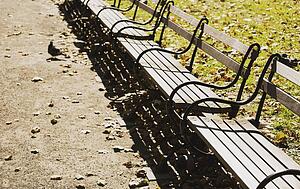 new york, new york, united states of america; a park bench and a bird on the ground
