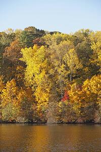knoxville, tennessee, united states of america; trees along the shoreline in autumn