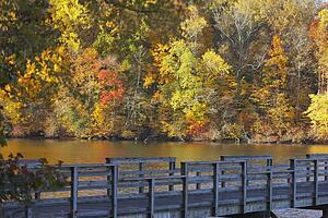 knoxville, tennessee, united states of america; trees along the shoreline in autumn and a wooden bridge