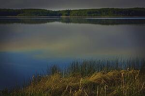 alberta, canada; the shoreline of a lake and clouds reflected in the water