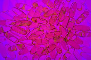 Omega 3 Gel Pills With A Magenta/Blue Filter