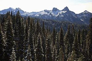 Washington, United States Of America; Fresh Snow On The Trees With A View Of Tatoosh Range In Mt. Rainier National Park