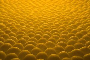 Pasta Shells
