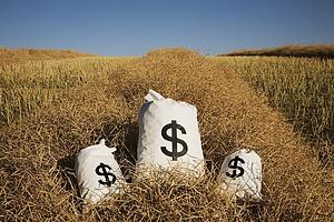 edmonton, alberta, canada; bags of money on a farm field