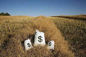 edmonton, alberta, canada; bags of money on a farm field