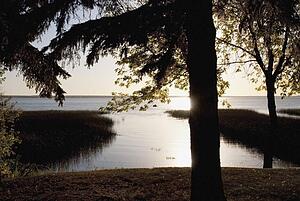 edmonton, alberta, canada; sunrise over a lake with a silhouette of trees on the shore