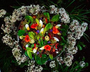 Mixed Leaf And Vegetable Salad