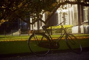 Dublin, Trinity College