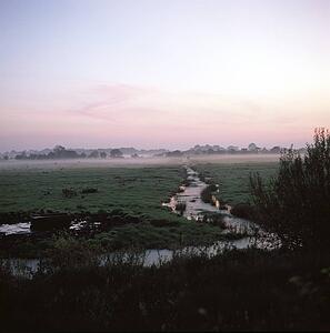 Bogland With Mist Rolling In, Co Armagh, Ireland