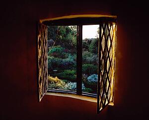 Window