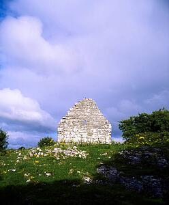 Kildimo, Co Limerick, Ireland; Celtic Archaeology In Meadow