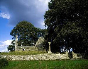 Roscrea, Co Tipperary, Ireland; Celtic Archaeology In Field