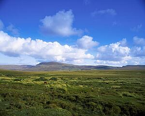 Belderg, Co Mayo, Ireland; Large Green Field