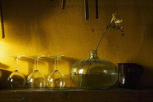 Glasses And Vase