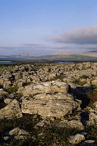 Co Clare The Burren