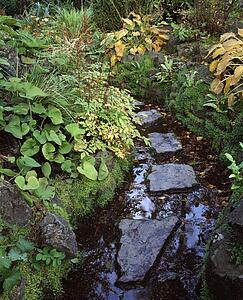Stepping Stones In The Japanese Gardens, County Kildare, Ireland