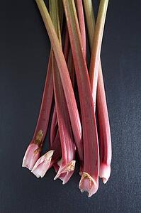 stocks of rhubarb