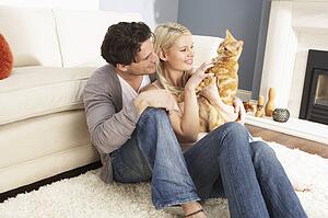Couple Taking Playing With Pet Cat At Home 