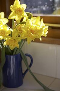 Vase Of Daffodils In Blue Jug On Window Sill