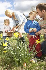 Family On Easter Egg Hunt In Daffodil Field
