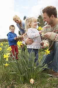 Family On Easter Egg Hunt In Daffodil Field