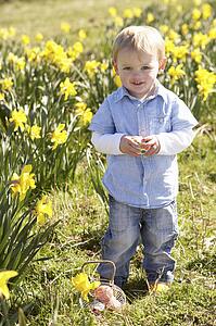 Young Boy On Easter Egg Hunt In Daffodil Field