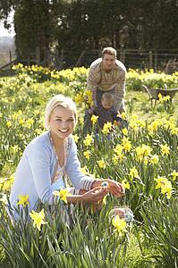 Woman Hiding Decorated Easter Eggs For Hunt Amongst Daffodils