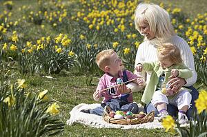 Mother And Children In Daffodil Field With Decorated Easter Eggs