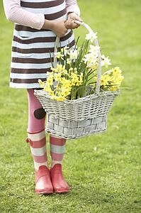 Detail Of Girl Holding Basket Of Daffodils In Garden