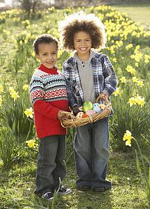 Two Boys Having Easter Egg Hunt In Daffodil Field