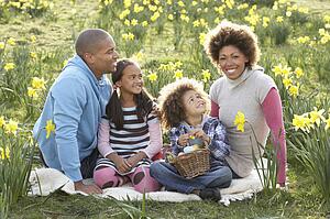 Family Relaxing In Field Of Spring Daffodils