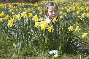 Girl On Easter Egg Hunt In Daffodil Field