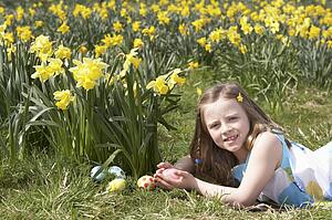 Girl On Easter Egg Hunt In Daffodil Field